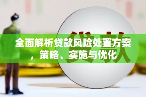 昭化全面解析贷款风险处置方案，策略、实施与优化