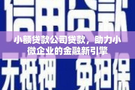 昭化小额贷款公司贷款，助力小微企业的金融新引擎