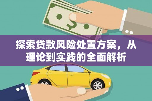 昭化探索贷款风险处置方案，从理论到实践的全面解析