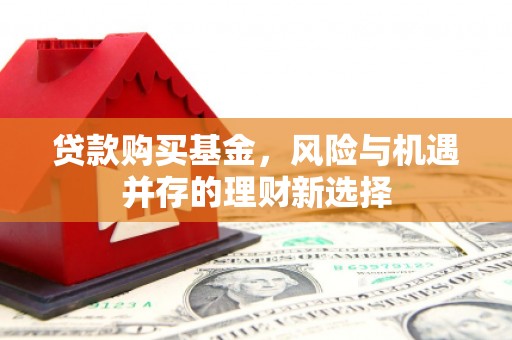 昭化贷款购买基金，风险与机遇并存的理财新选择