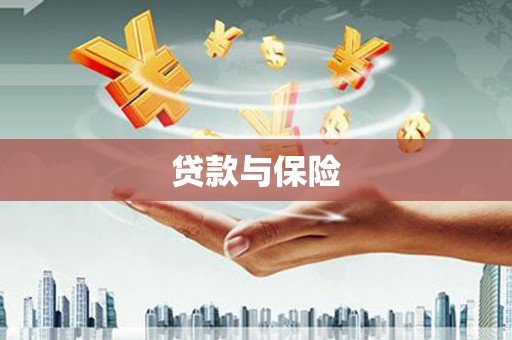 昭化贷款与保险
