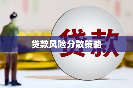 昭化贷款风险分散策略
