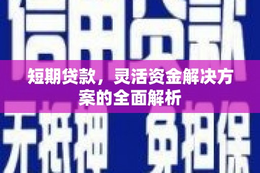 昭化短期贷款，灵活资金解决方案的全面解析