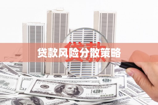 昭化贷款风险分散策略