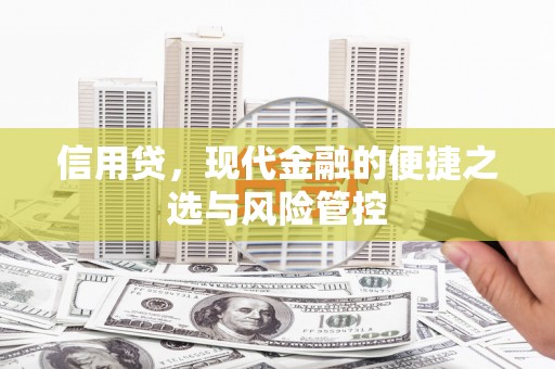昭化信用贷，现代金融的便捷之选与风险管控