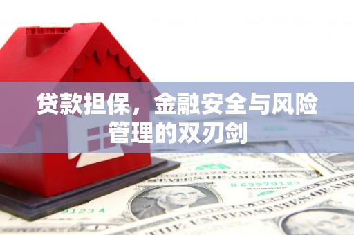 昭化贷款担保，金融安全与风险管理的双刃剑