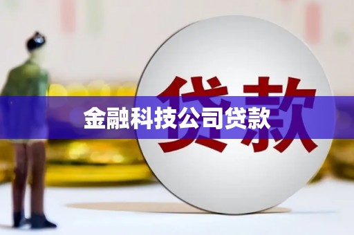 昭化金融科技公司贷款