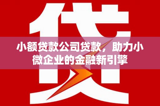 昭化小额贷款公司贷款，助力小微企业的金融新引擎