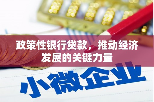 昭化政策性银行贷款，推动经济发展的关键力量