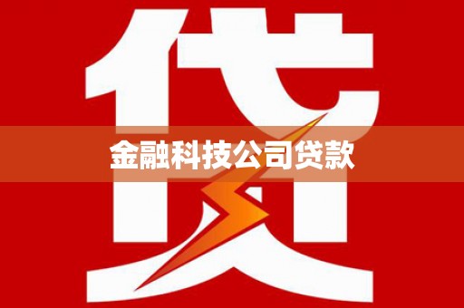 昭化金融科技公司贷款