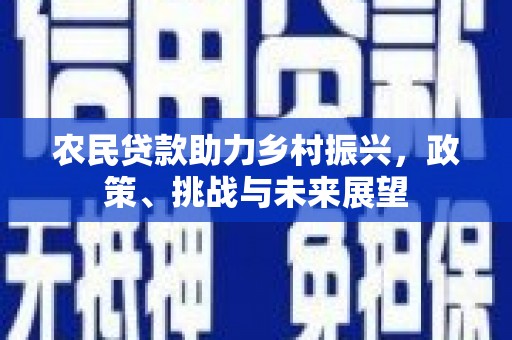 昭化农民贷款助力乡村振兴，政策、挑战与未来展望