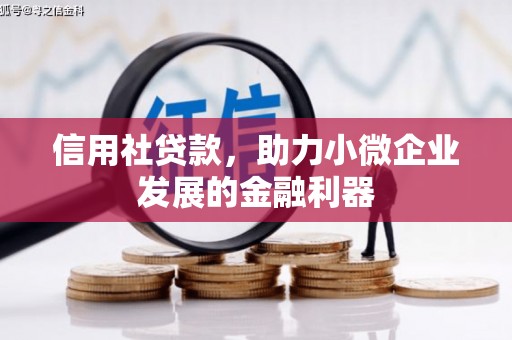 昭化信用社贷款，助力小微企业发展的金融利器