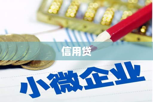 昭化信用贷