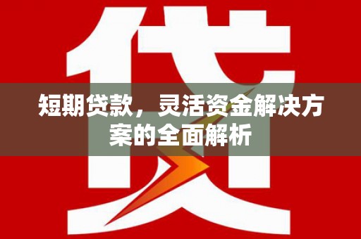 昭化短期贷款，灵活资金解决方案的全面解析