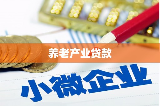 昭化养老产业贷款