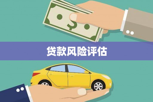 昭化贷款风险评估