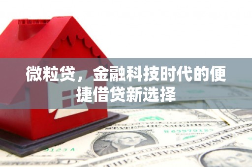 昭化微粒贷，金融科技时代的便捷借贷新选择