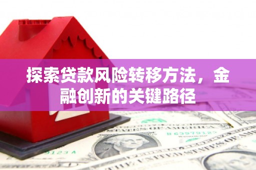 昭化探索贷款风险转移方法，金融创新的关键路径