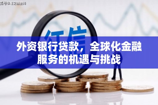 昭化外资银行贷款，全球化金融服务的机遇与挑战
