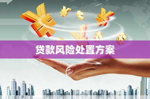 昭化贷款风险处置方案
