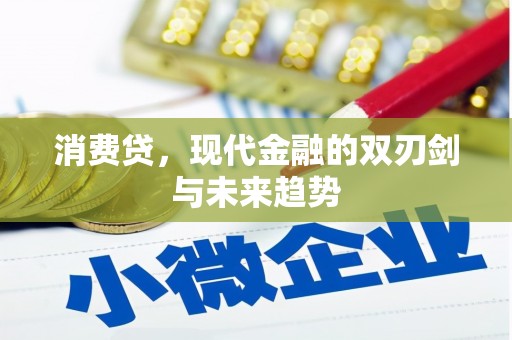 昭化消费贷，现代金融的双刃剑与未来趋势