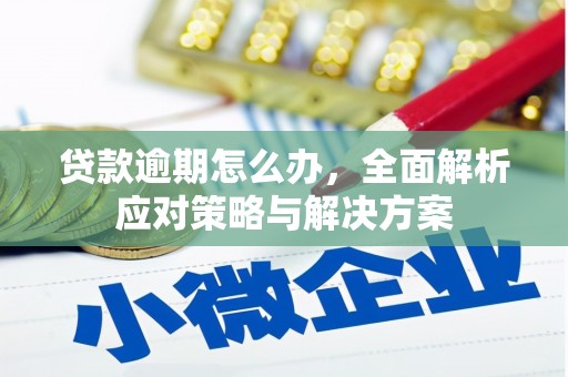 昭化贷款逾期怎么办，全面解析应对策略与解决方案