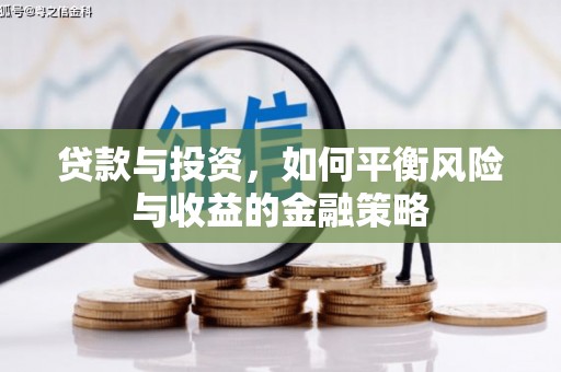 昭化贷款与投资，如何平衡风险与收益的金融策略