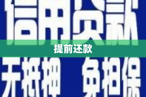 昭化提前还款