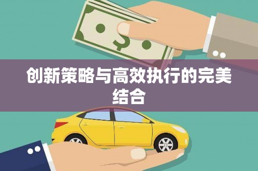 昭化创新策略与高效执行的完美结合