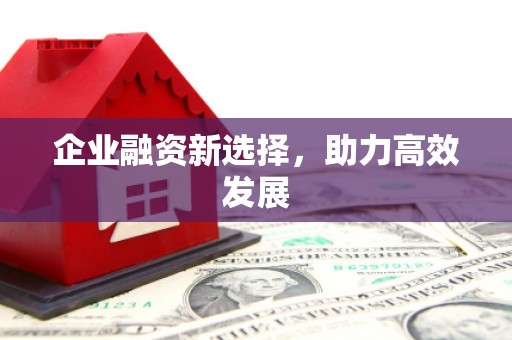 昭化企业融资新选择，助力高效发展