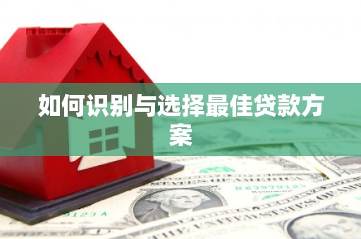 昭化如何识别与选择最佳贷款方案