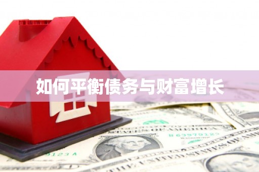 昭化如何平衡债务与财富增长