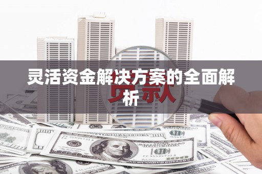 昭化灵活资金解决方案的全面解析