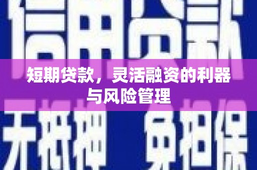 昭化短期贷款，灵活融资的利器与风险管理