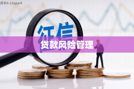 昭化贷款风险管理