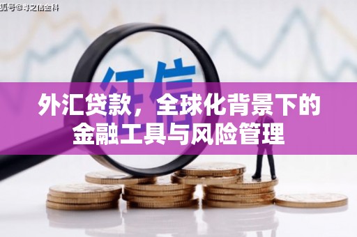 昭化外汇贷款，全球化背景下的金融工具与风险管理