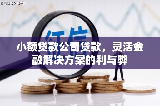 昭化小额贷款公司贷款，灵活金融解决方案的利与弊
