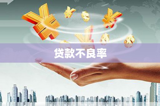 昭化贷款不良率