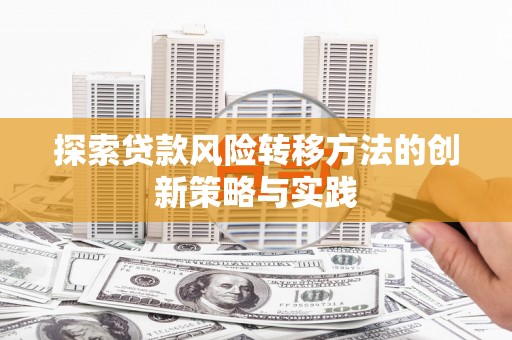 昭化探索贷款风险转移方法的创新策略与实践