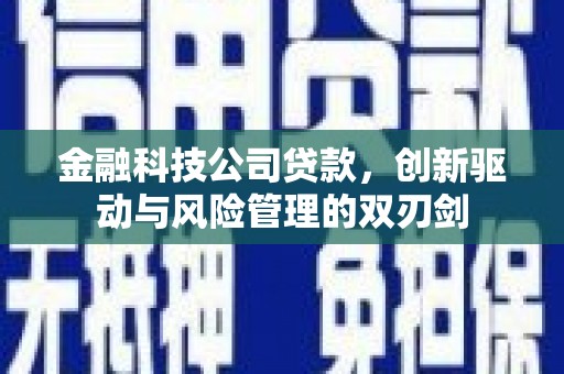 昭化金融科技公司贷款，创新驱动与风险管理的双刃剑