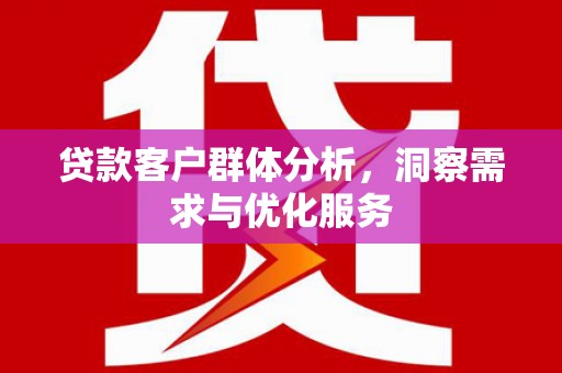 昭化贷款客户群体分析，洞察需求与优化服务